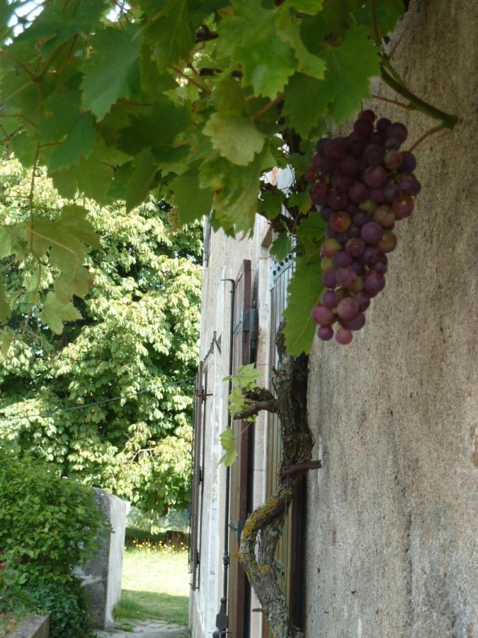 A L'Ombre Du Marronnier Gites La Peruse ภายนอก รูปภาพ